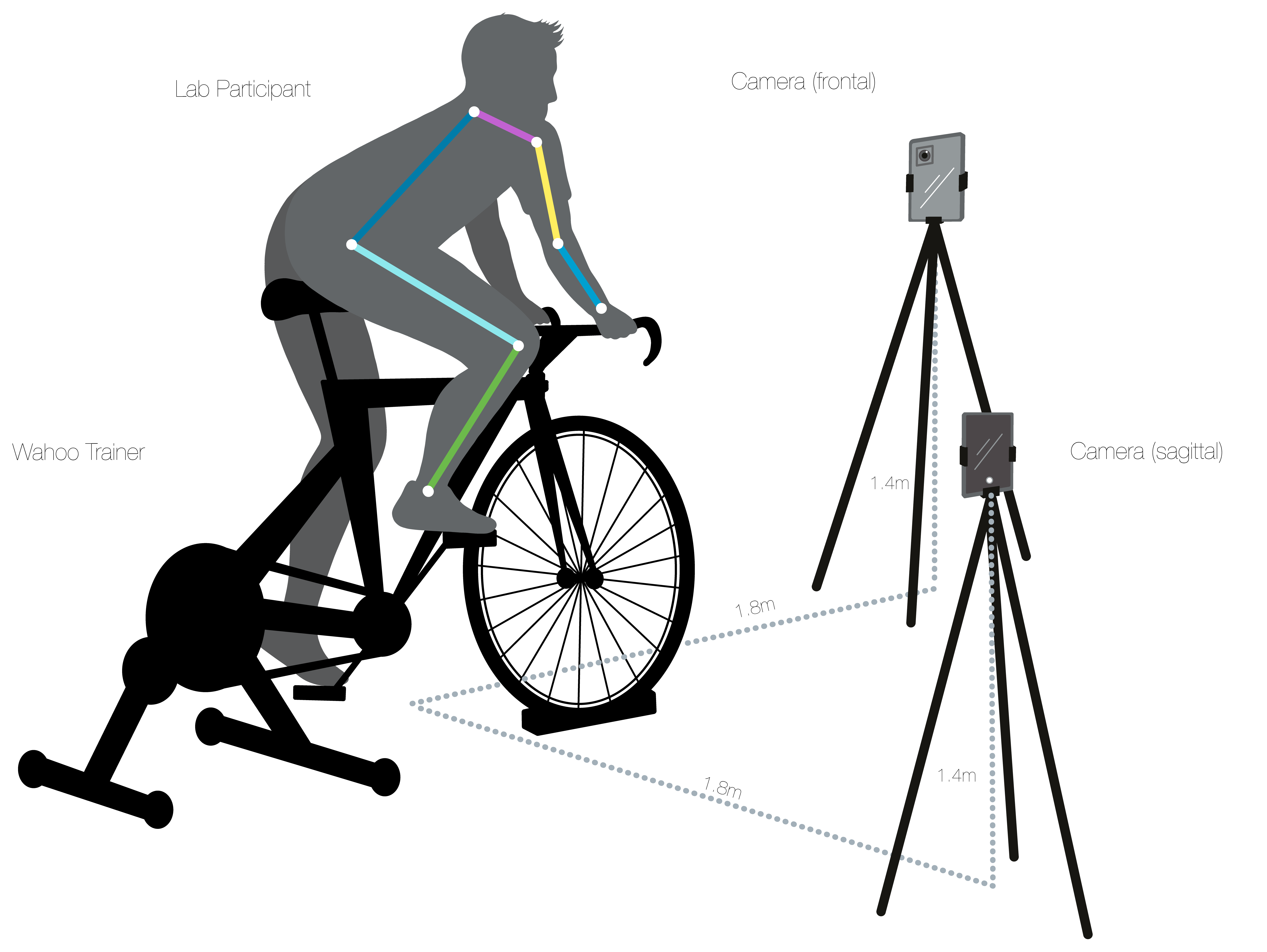 Video-based biomechanics pipeline