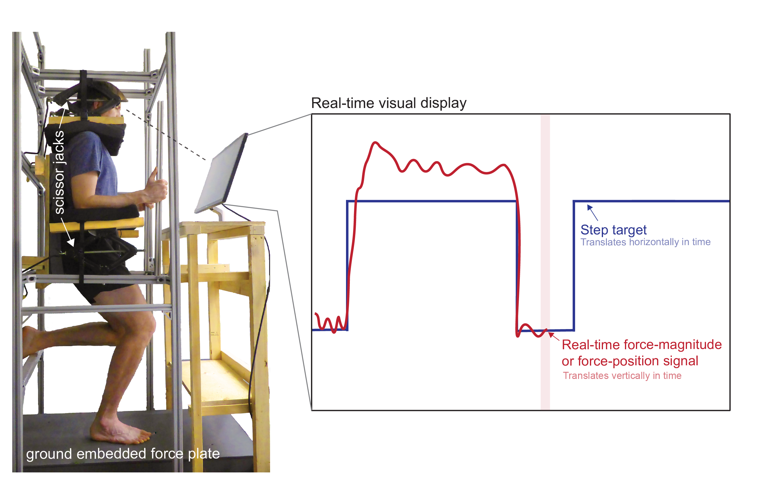 Force control experimental rig